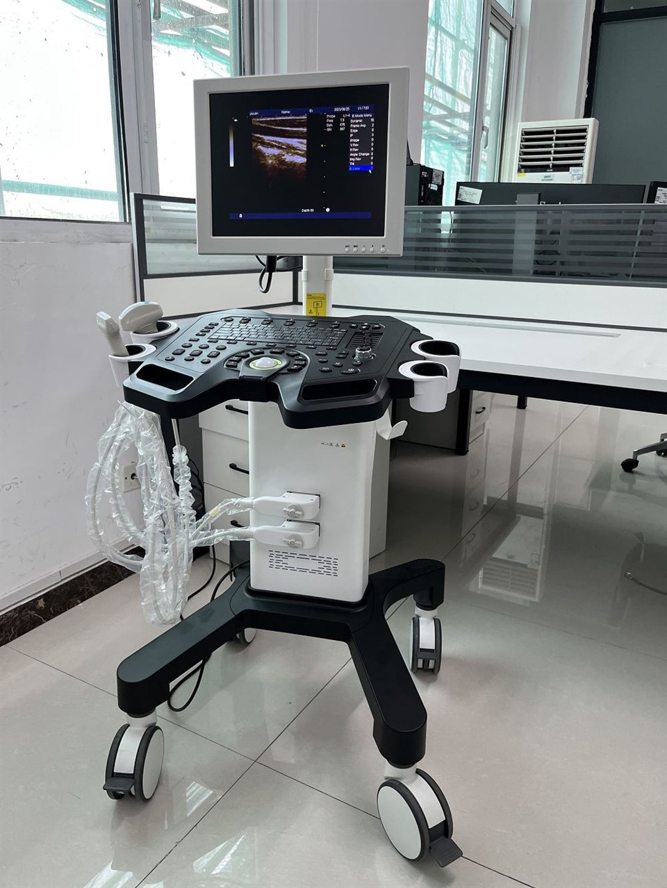 CS009 Handheld Black and White Ultrasound Machine - Trolley-Mounted Full-Digital Diagnostic System (5)(001)