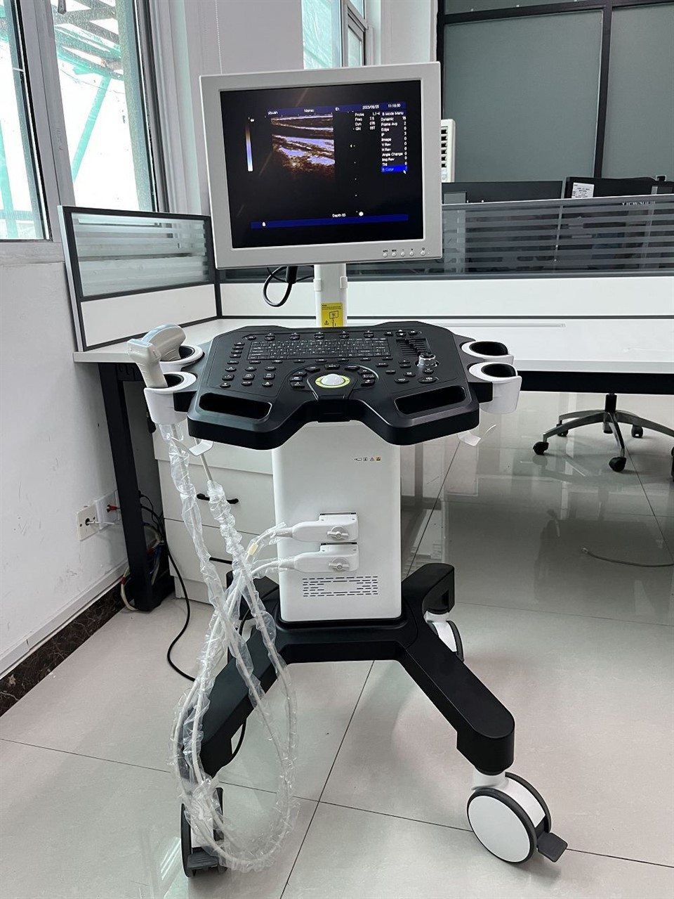 CS009 Handheld Black and White Ultrasound Machine - Trolley-Mounted Full-Digital Diagnostic System (4)(001)