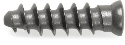 Titanium Mesh Cage (2)